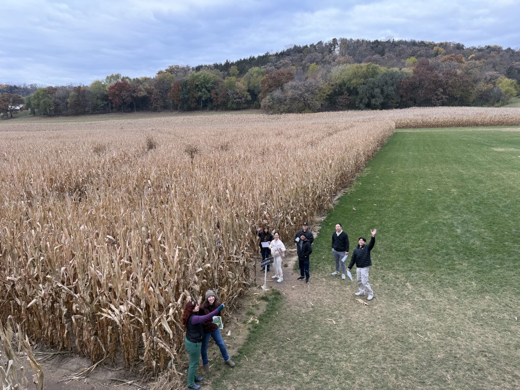 cornfield group